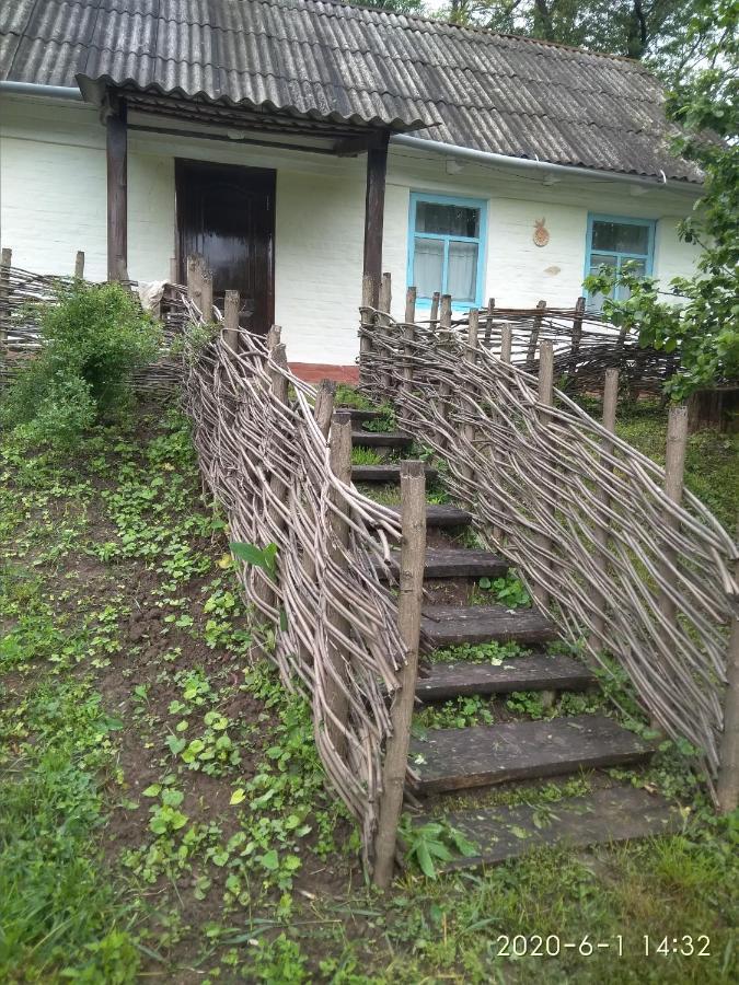 Pensjonat Maliovnytsya Dybintsy Zewnętrze zdjęcie